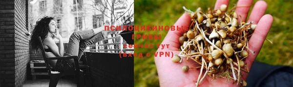мет Краснослободск